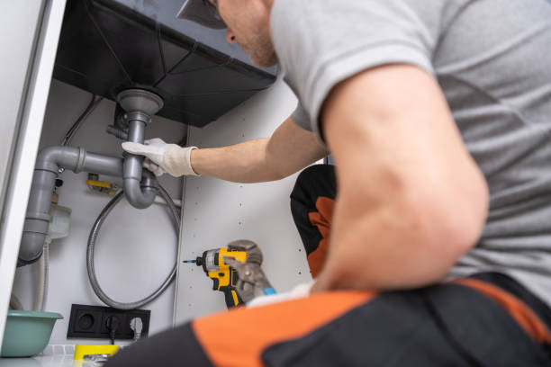 Best Garbage Disposal Repair and Installation  in Sheridan, IL